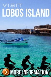 Visit Lobos Island
